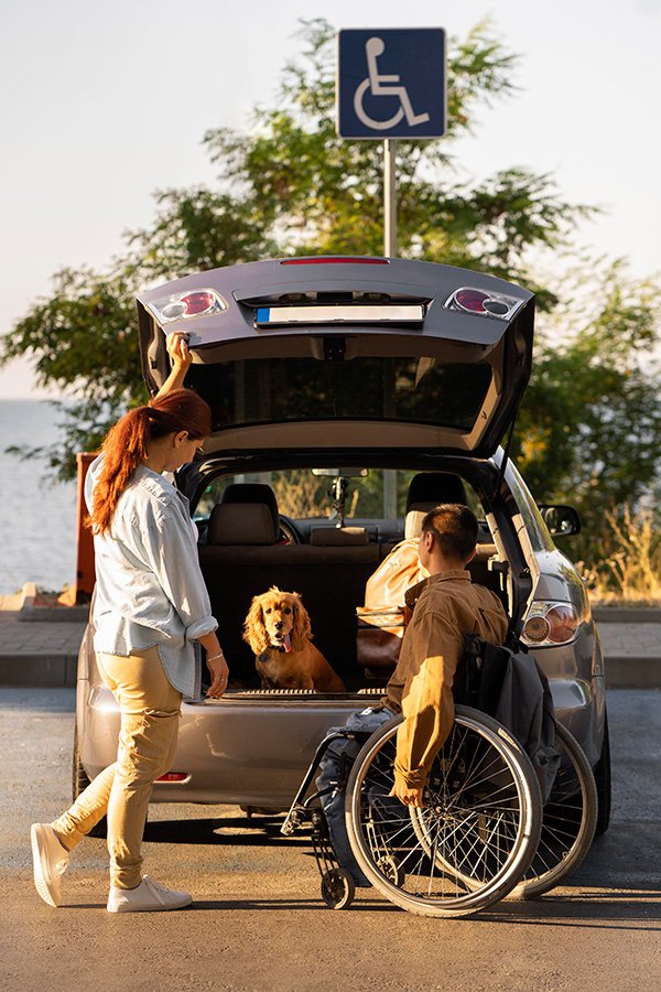 Assistance in Travel and Transport